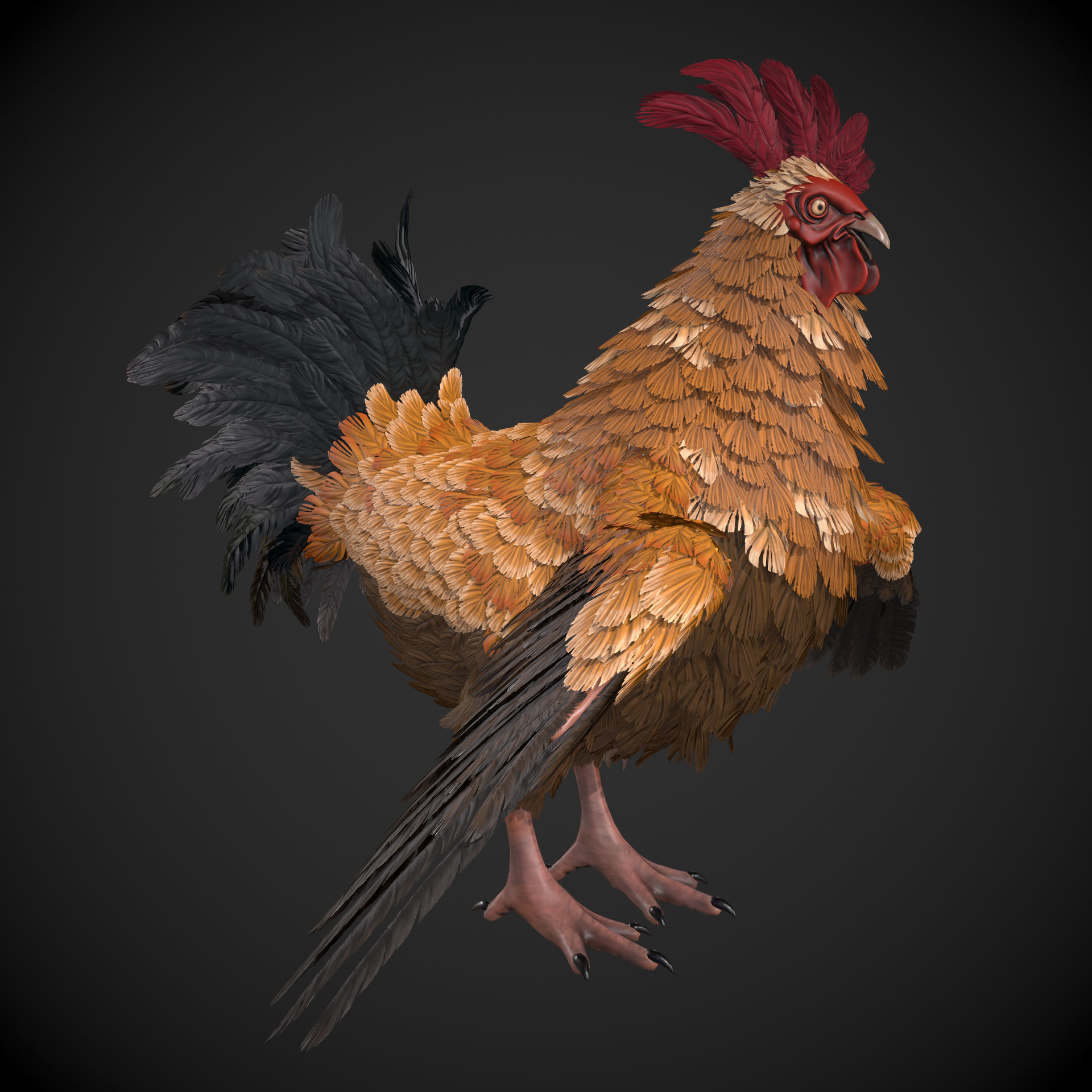 Chicken Rooster Low-poly 3D model_10