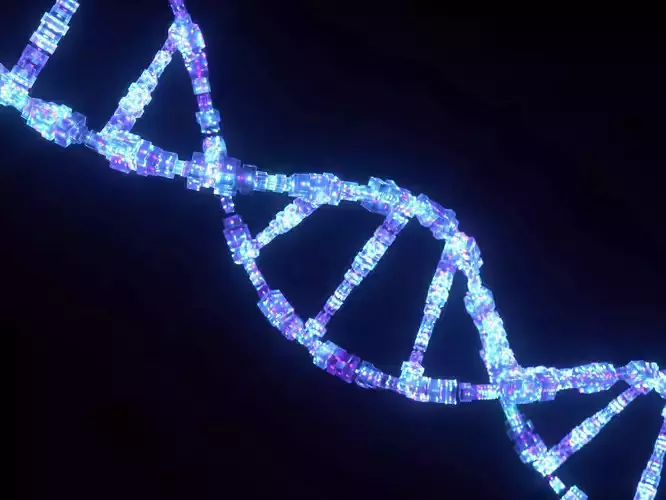 Sci Fi DNA Low-poly 3D model