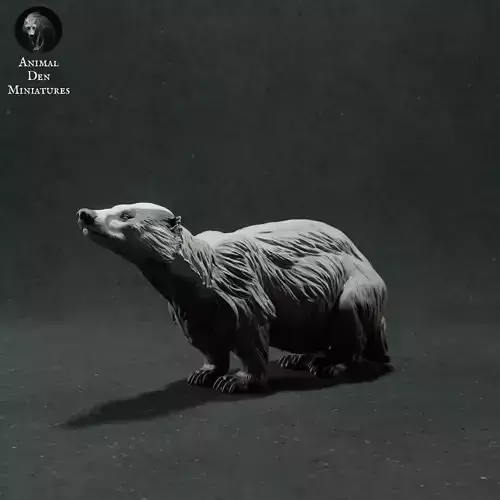 European Badger 3D print model