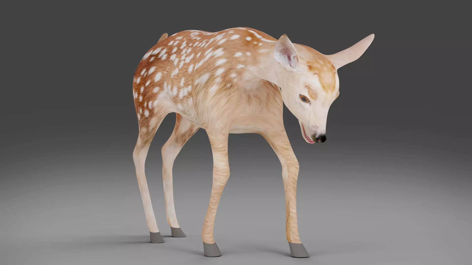 Fawn Deer Rigged V1 Low-poly 3D model_0