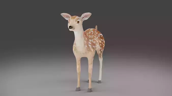 Fawn Deer NO Rigged V1