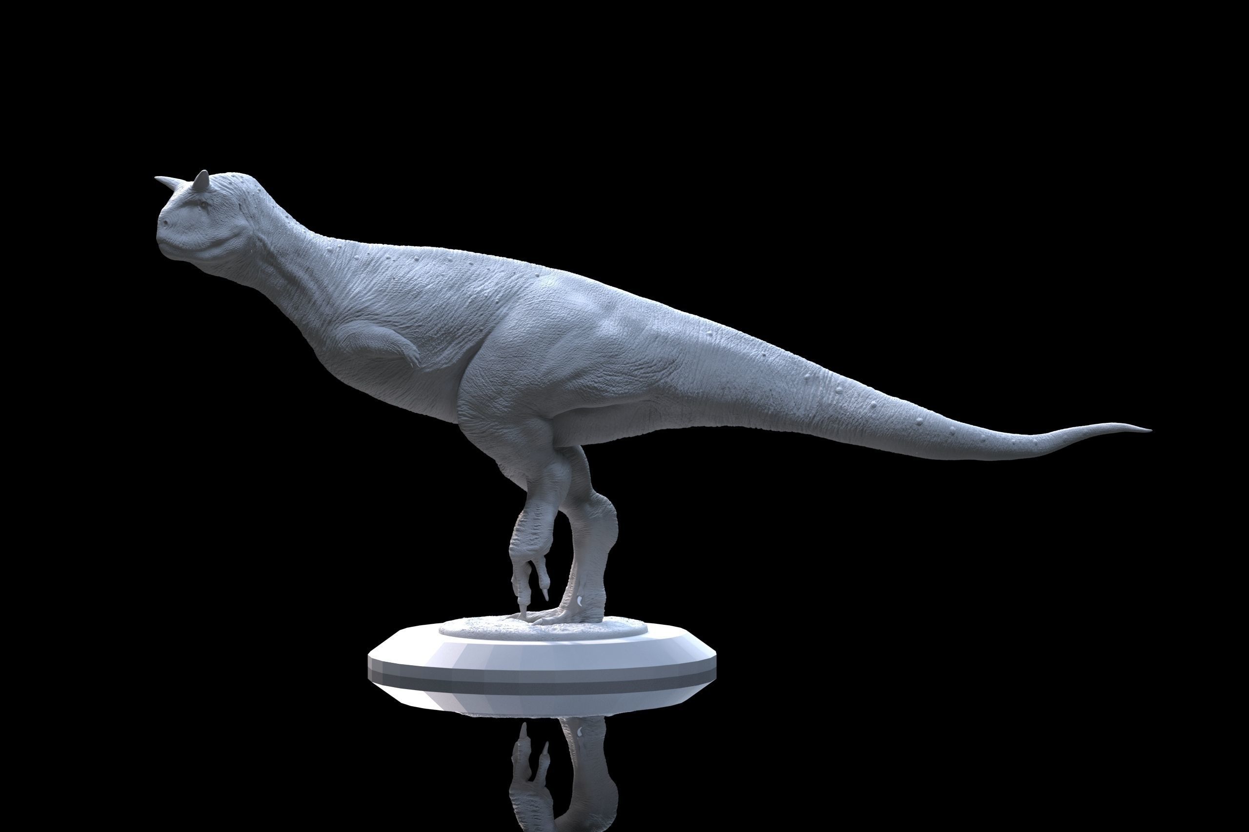 Carnotaurus sastrei 3D print model_3