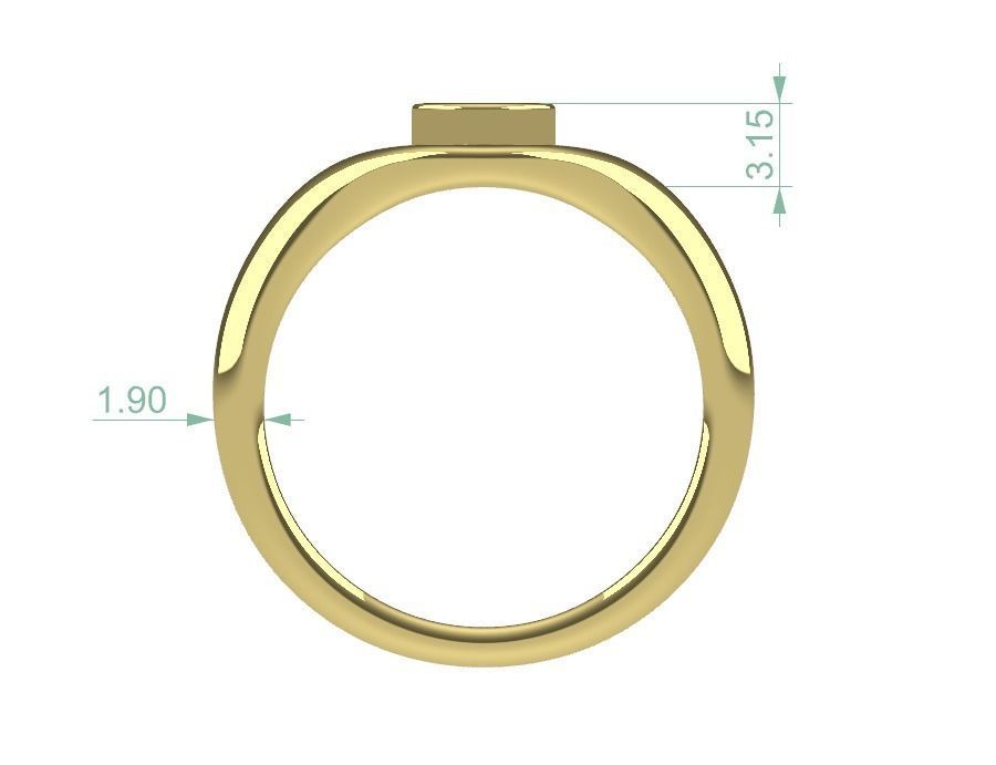 SIGNET ROUND 3D print model_5