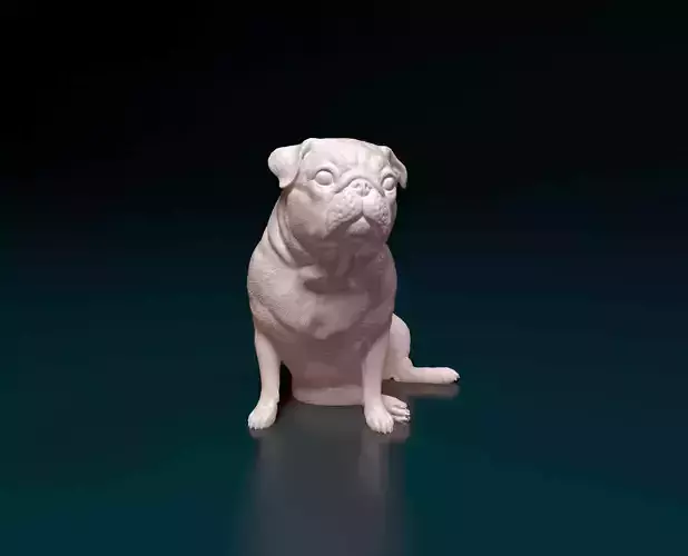 Pug dog 3D print model