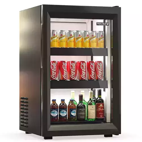 Refrigerator Tefcold