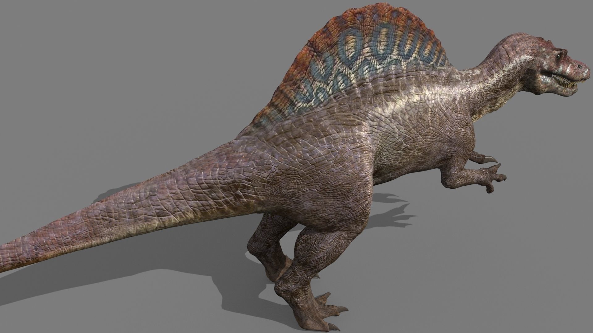 Suchomimus Mongolica - 8K animated JP3 Spinosaur 3D model_11