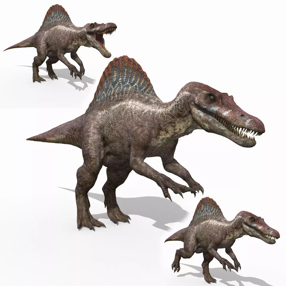 Suchomimus Mongolica - 8K animated JP3 Spinosaur 3D model_0