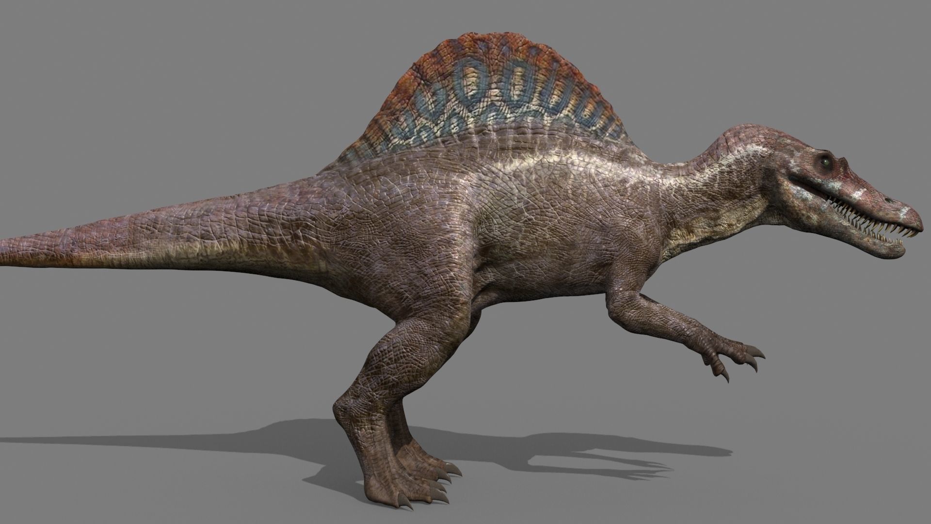 Suchomimus Mongolica - 8K animated JP3 Spinosaur 3D model_9