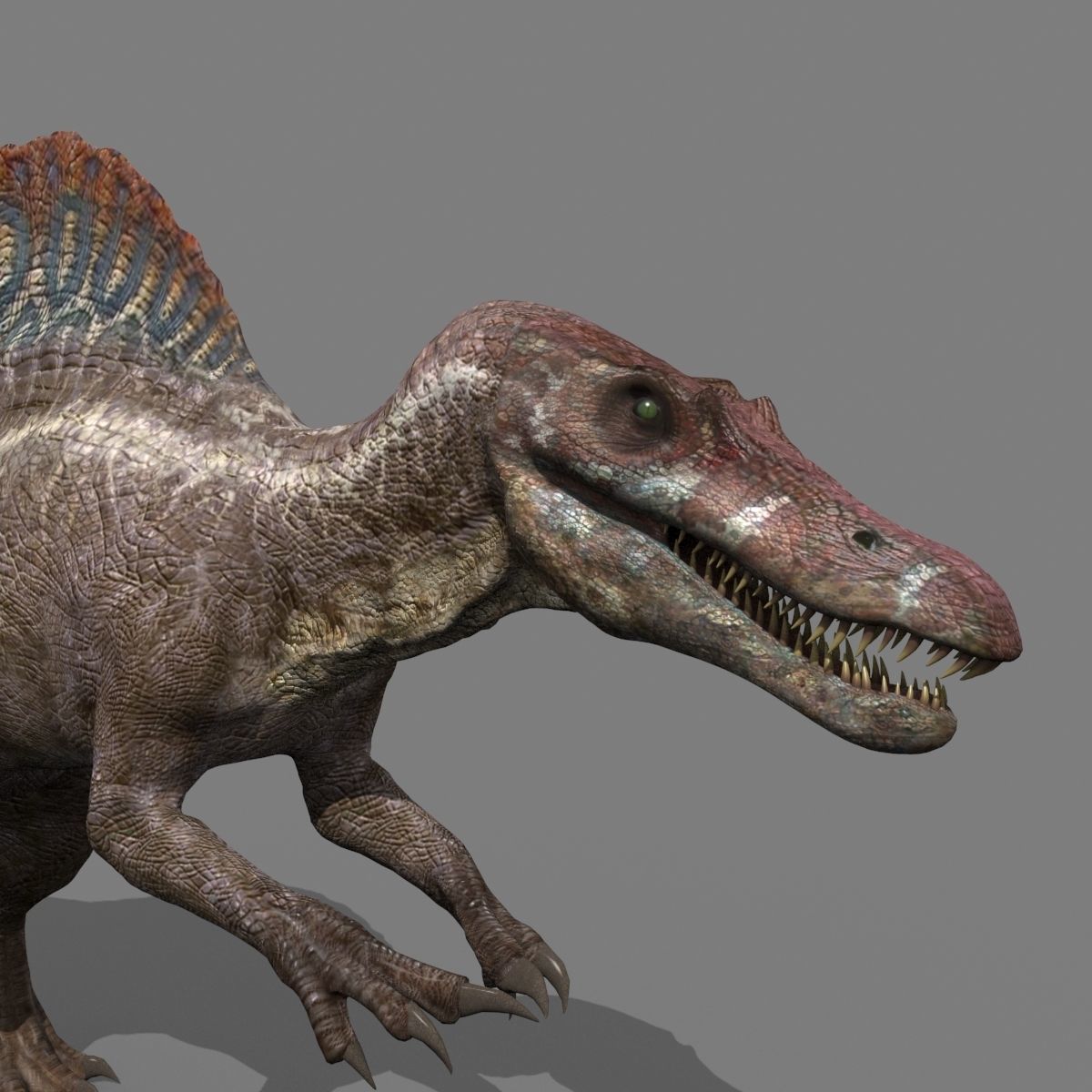 Suchomimus Mongolica - 8K animated JP3 Spinosaur 3D model_19