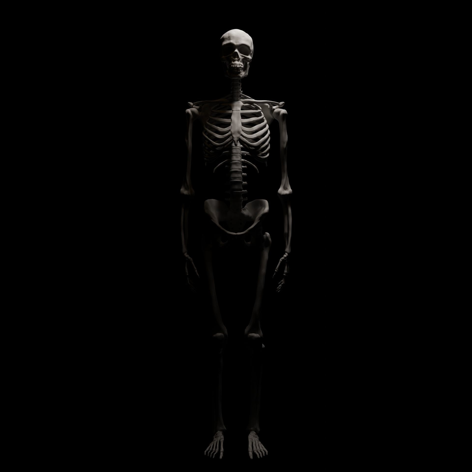 FULL SKELETON WITH SEPARATED MESHS 3D print model_4