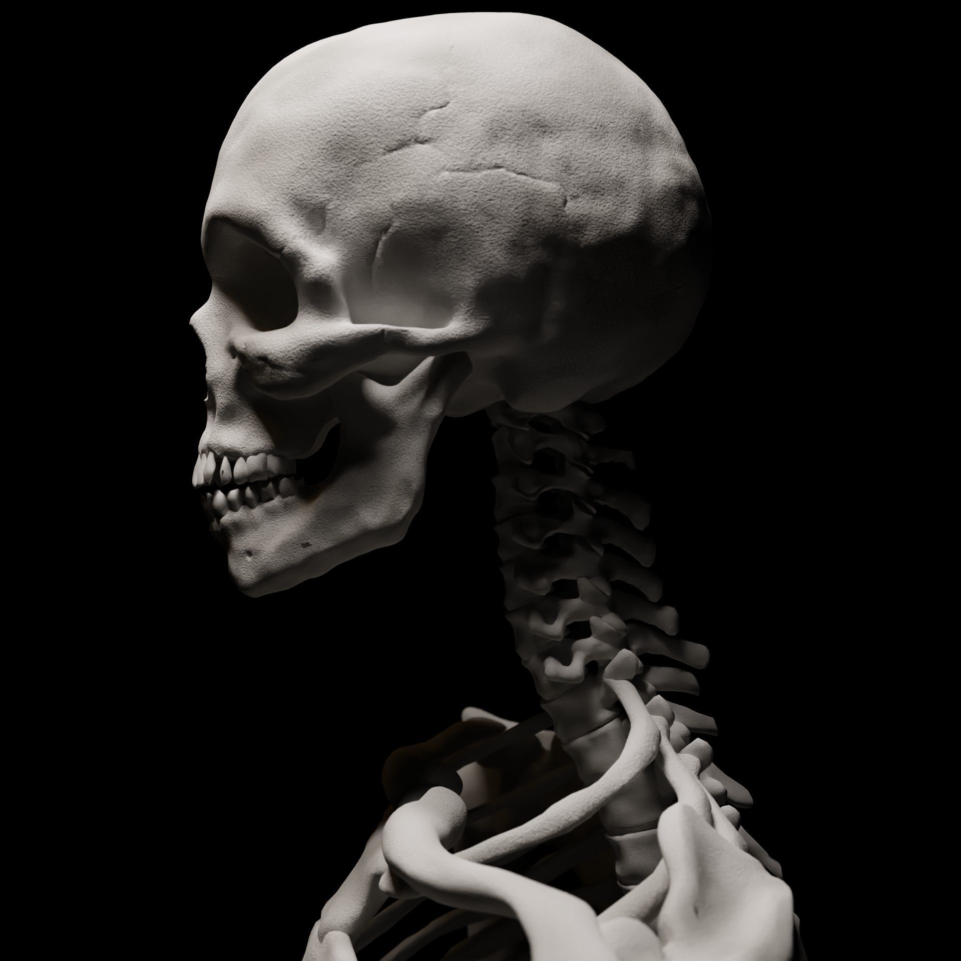 FULL SKELETON WITH SEPARATED MESHS 3D print model_2