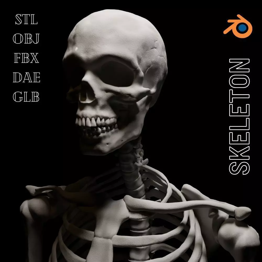 FULL SKELETON WITH SEPARATED MESHS 3D print model_0