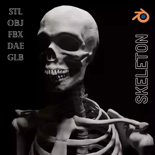 FULL SKELETON WITH SEPARATED MESHS 3D print model FULL SKELETON WITH SEPARATED MESHS 3D print model