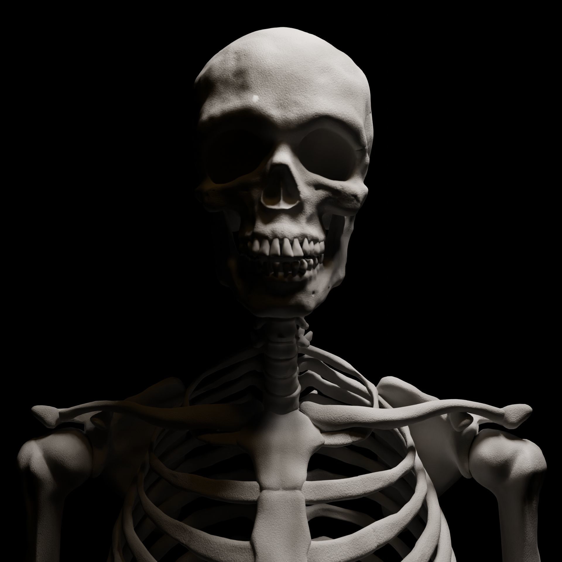FULL SKELETON WITH SEPARATED MESHS 3D print model_3