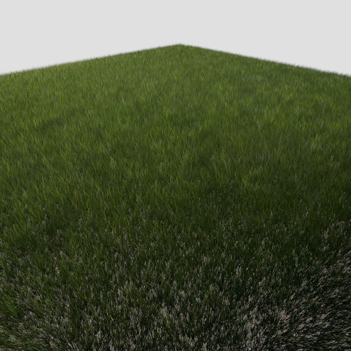 Dynamic Grass 3 3D model_2