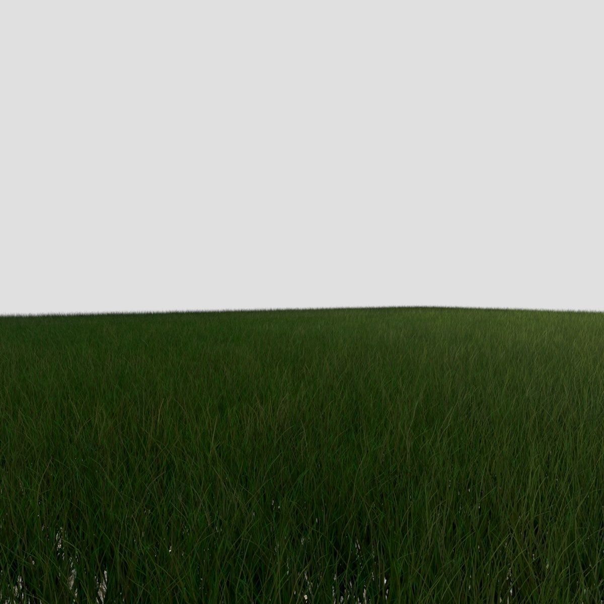 Dynamic Grass 3 3D model_3