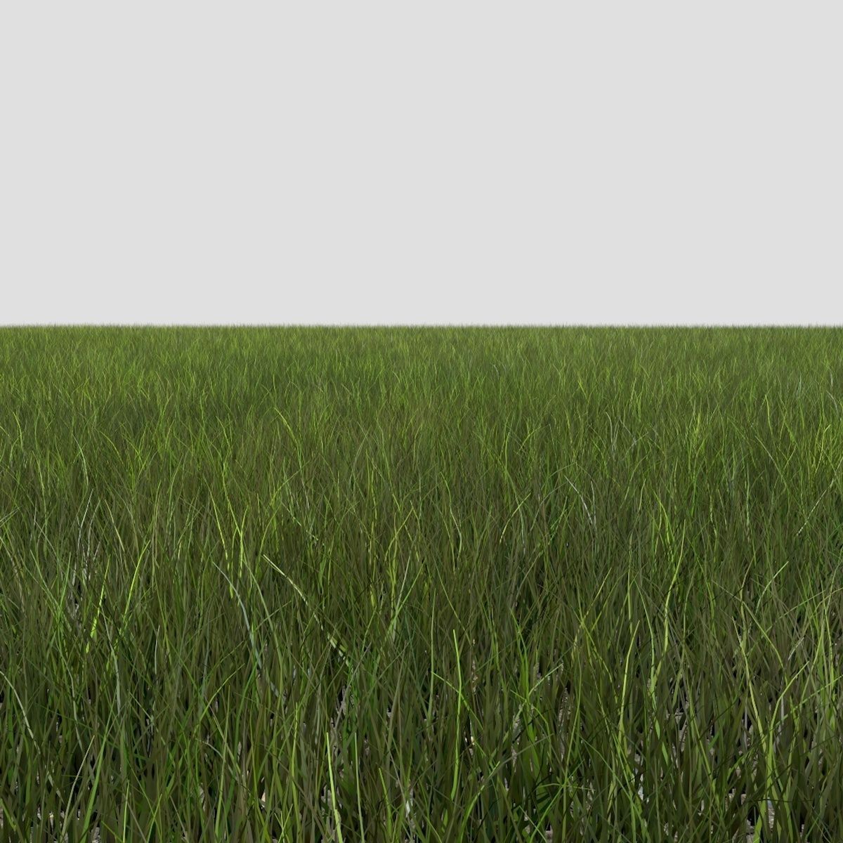 Dynamic Grass 3 3D model_1