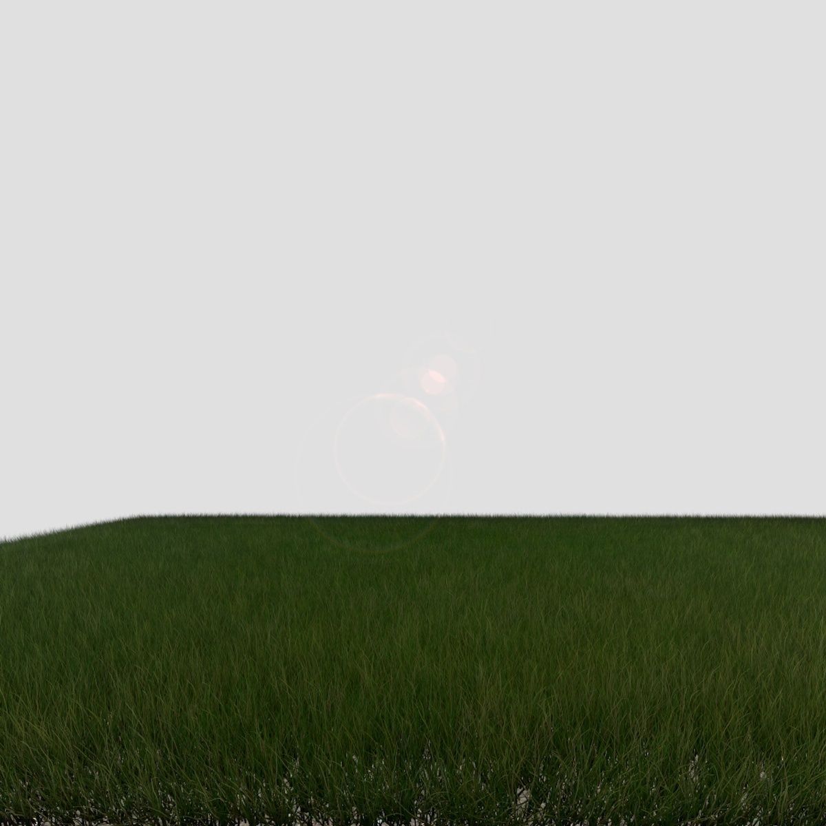 Dynamic Grass 3 3D model_4