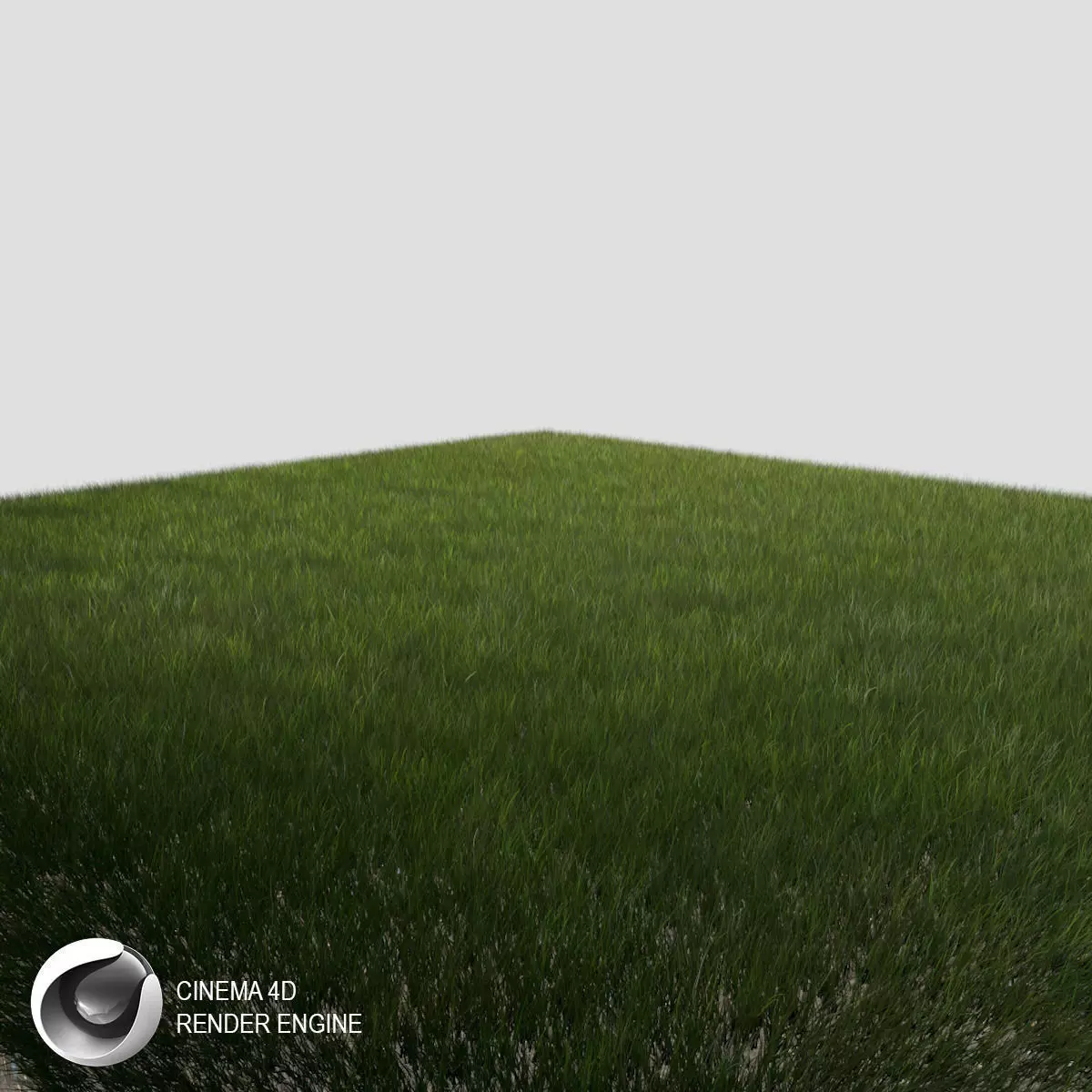 Dynamic Grass 3 3D model_0