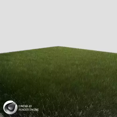 Dynamic Grass 3 3D model