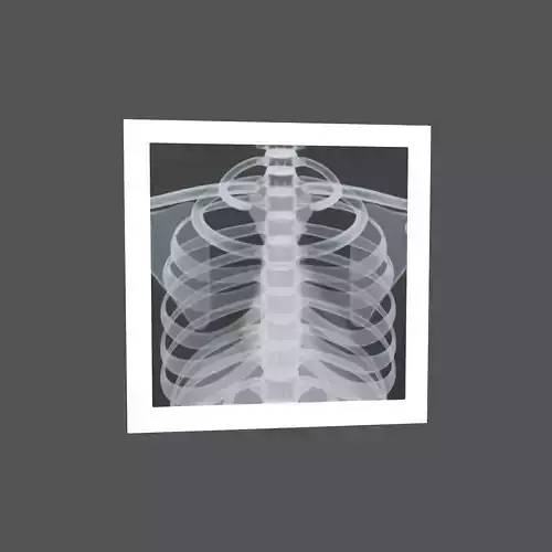 X-Ray Emoji v1 002 Low-poly 3D model