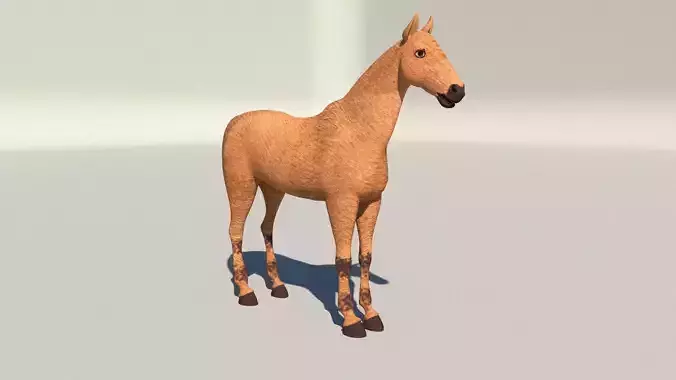 horse