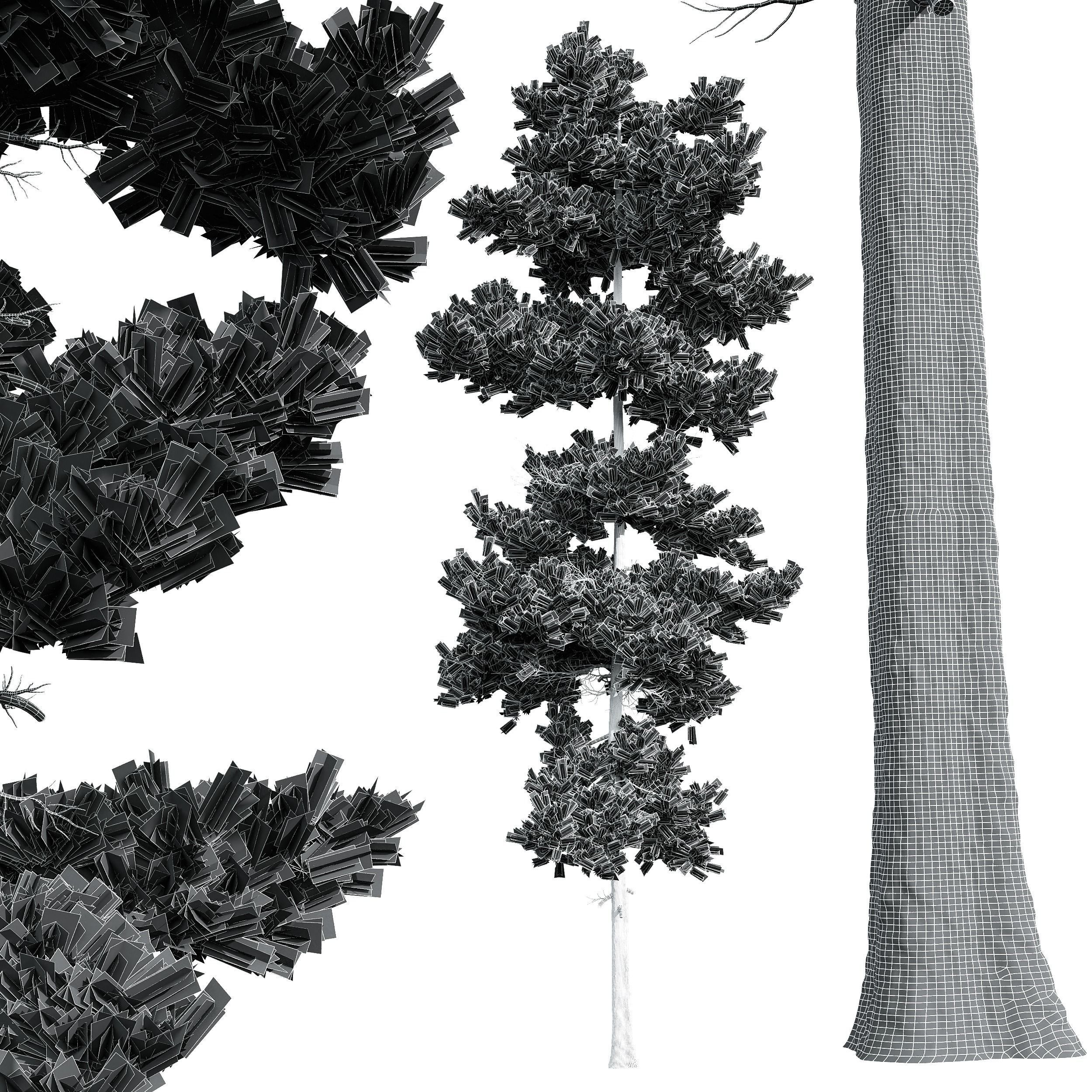 New Plant High detail Pinus Echinata Palustris 4Trees 3D model_6