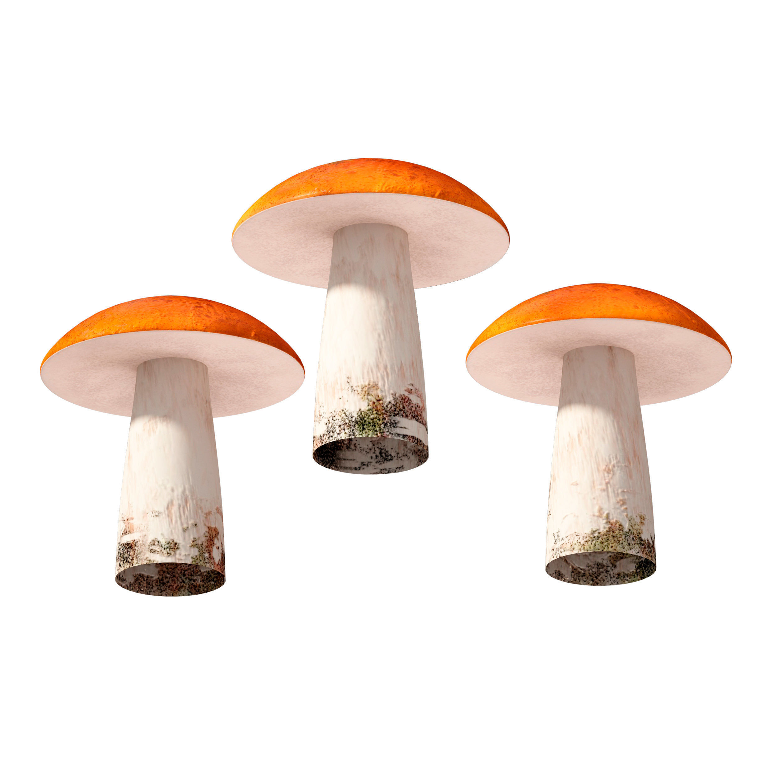 Mushrooms Set three orange 3D model_7