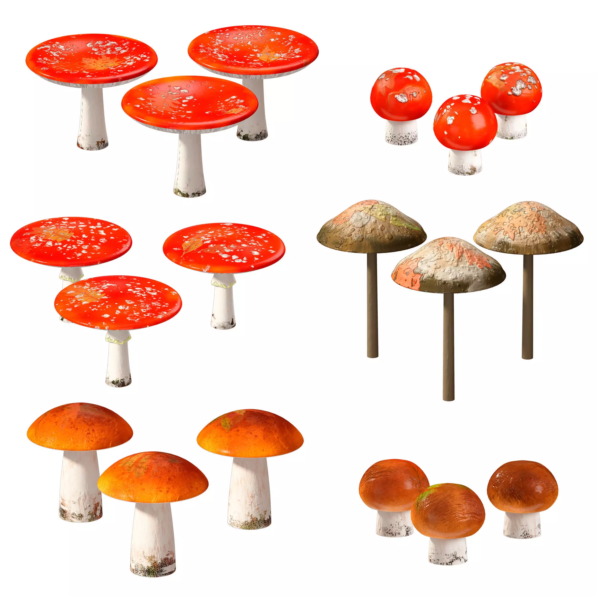 Mushrooms Set three orange 3D model_0