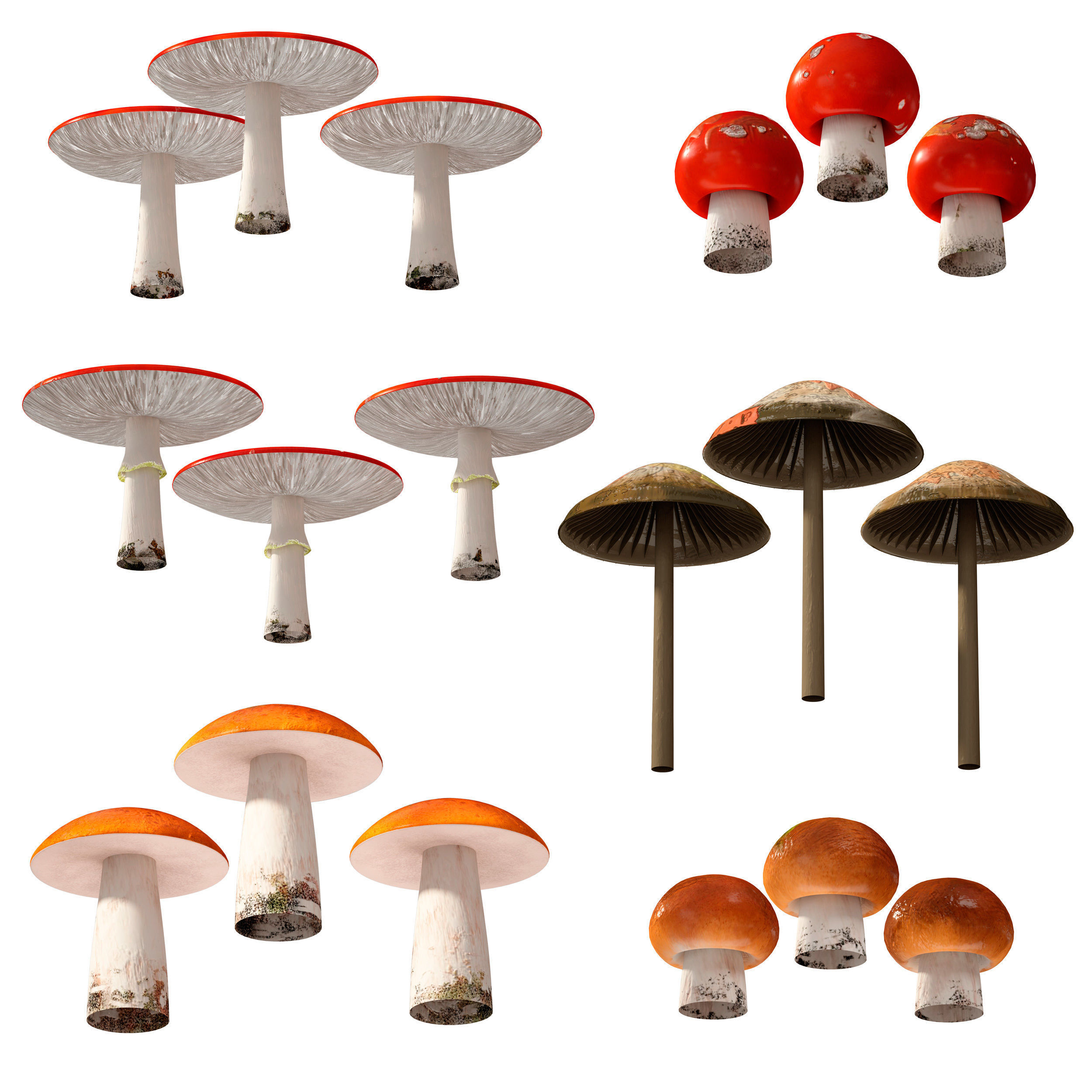 Mushrooms Set three orange 3D model_1
