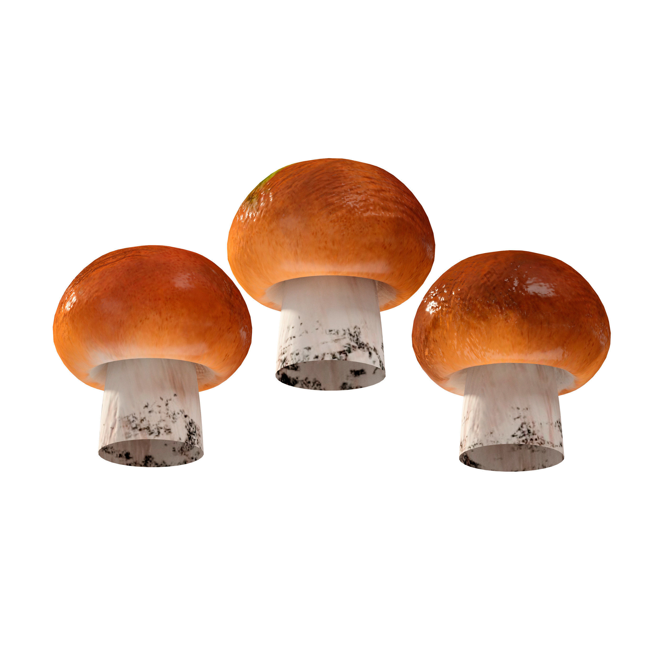 Mushrooms Set three orange 3D model_8