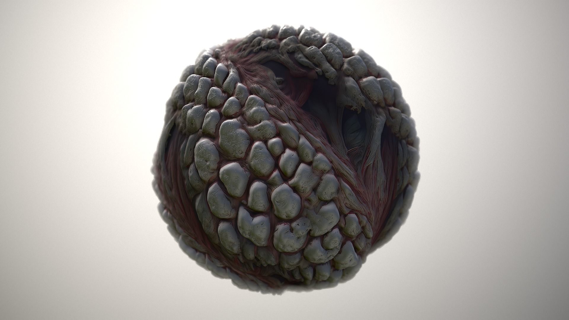 Material Skin Monster 9 Seamless PBR Texture Texture_3