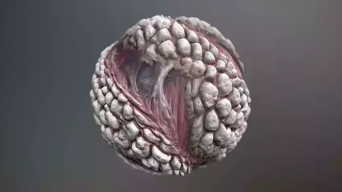 Material Skin Monster 9 Seamless PBR Texture Texture