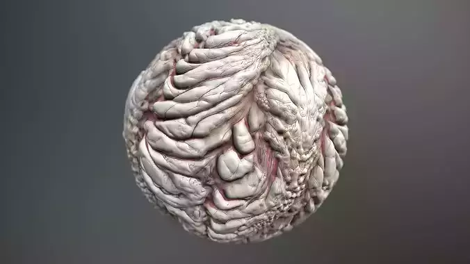 Material Skin Monster 8 Seamless PBR Texture Texture