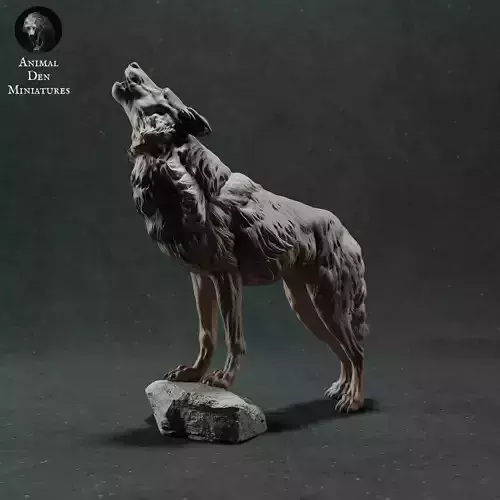 Iberian Wolf Howling