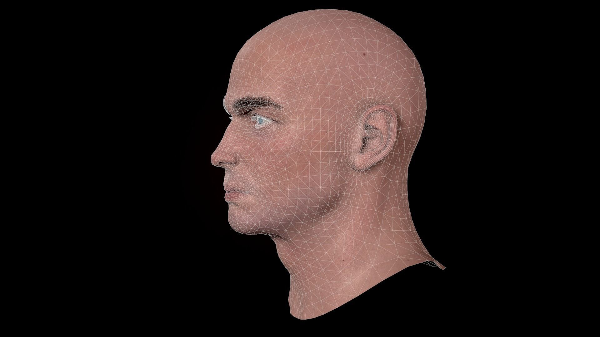 Male Head - 03 Low-poly 3D model_11