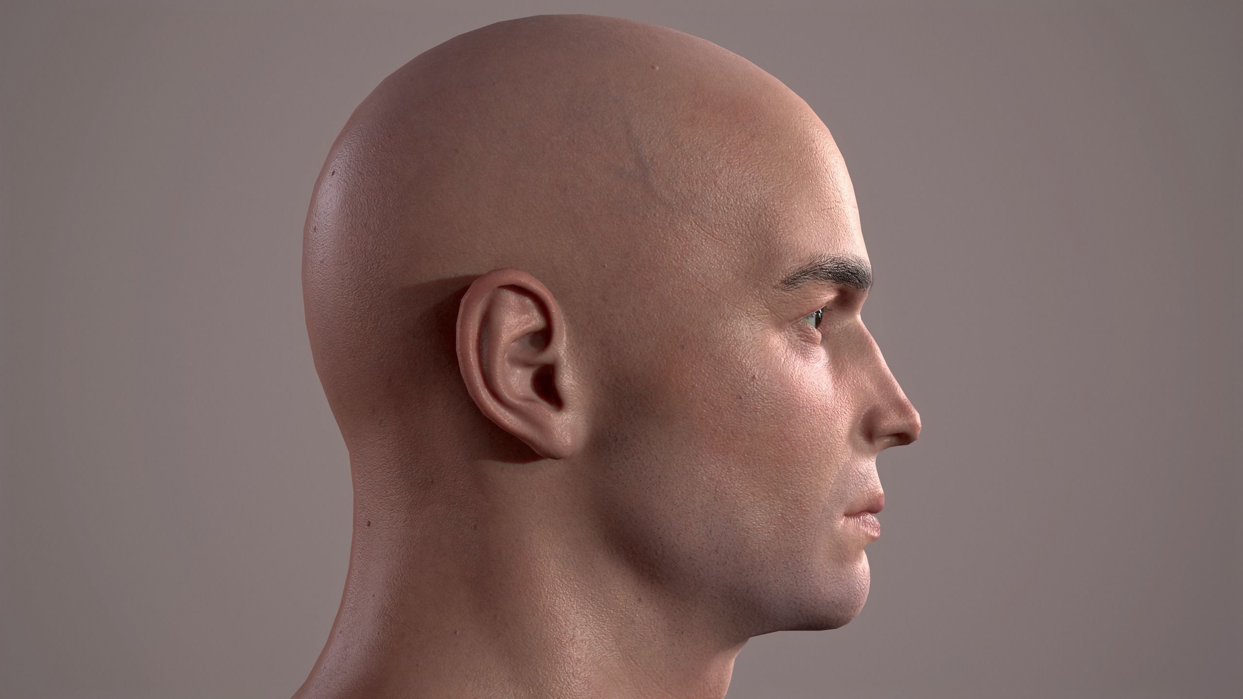 Male Head - 03 Low-poly 3D model_6