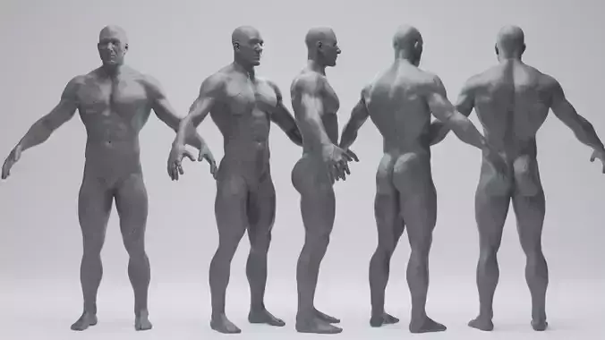 Male Body2