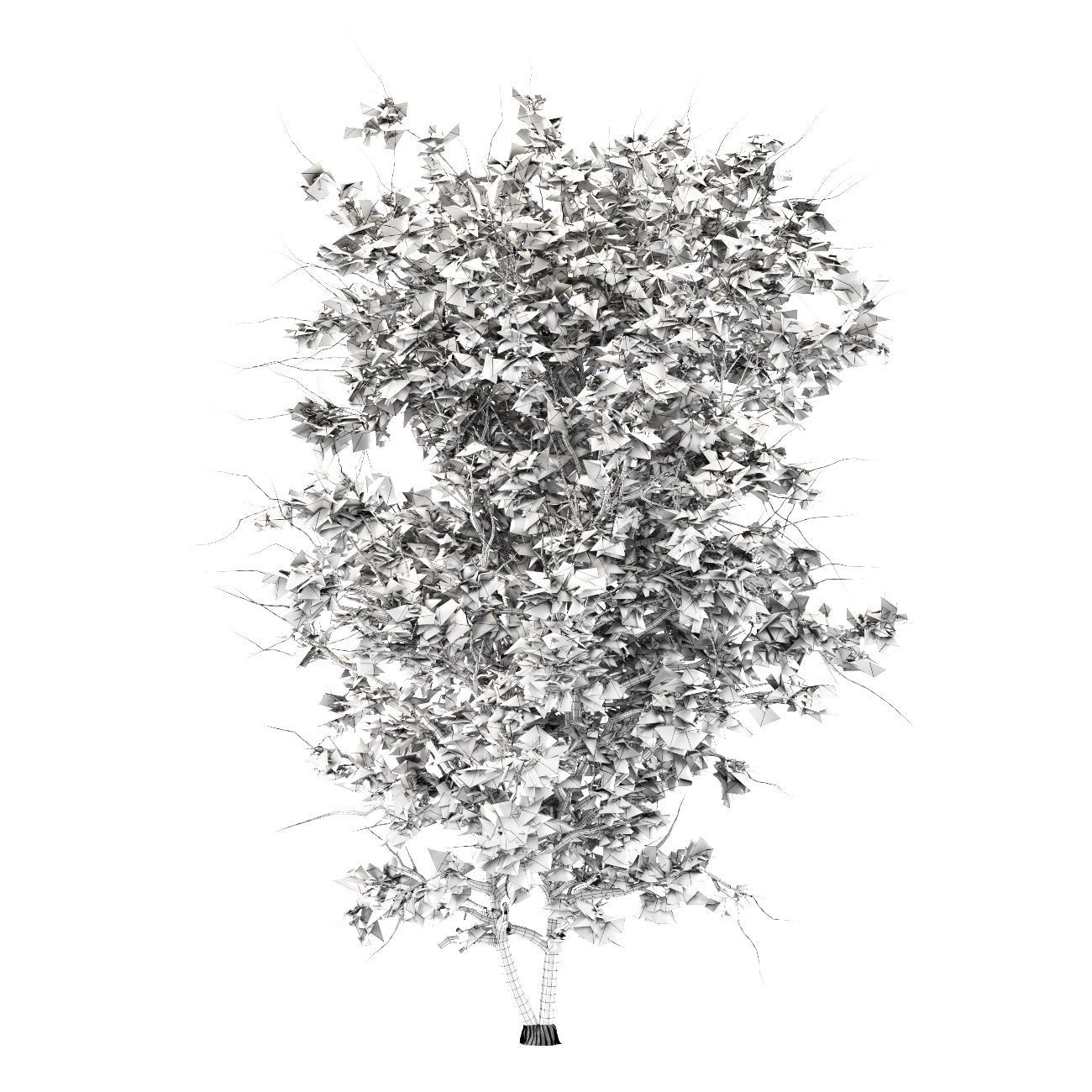 Catalpa Ovata Tree corona and V-ray 3D model_4