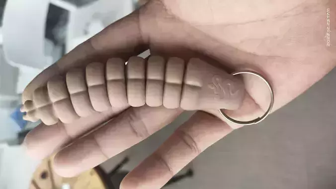 Bionic rattlesnake tail keychain 3D print model