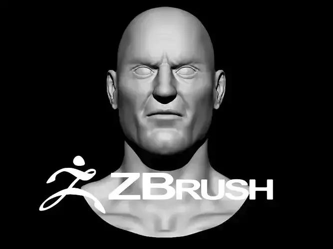 3d male head sculpt zbrush