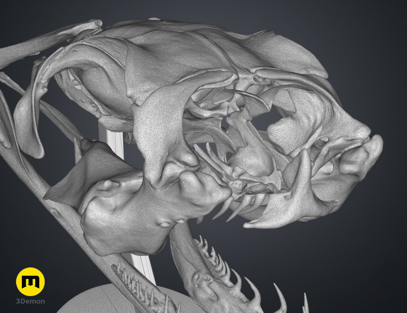 Gaboon Viper Snake Skull Free 3D print model_13