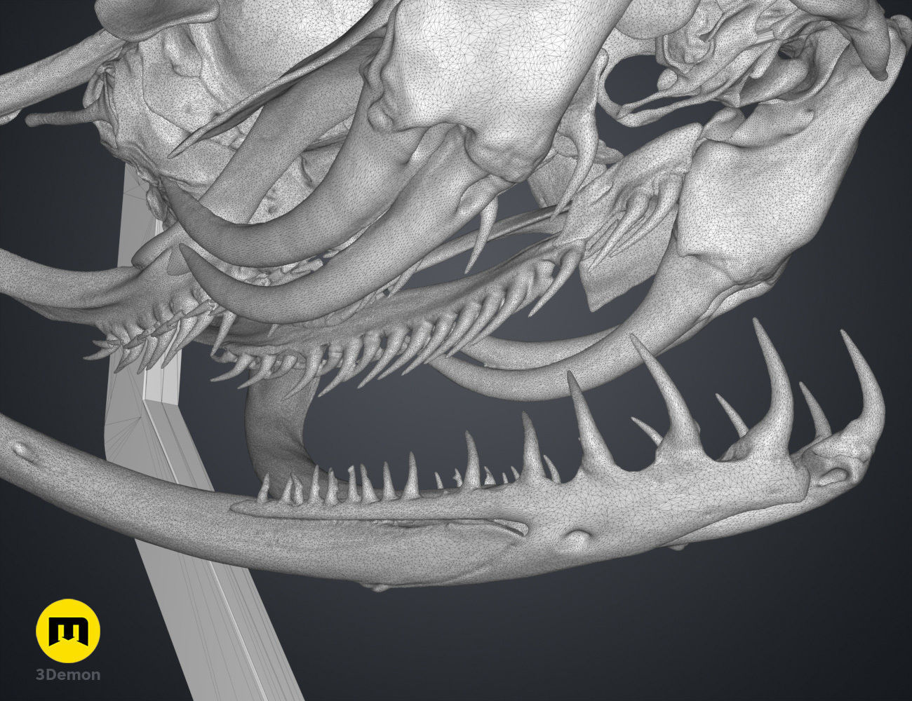Gaboon Viper Snake Skull Free 3D print model_15