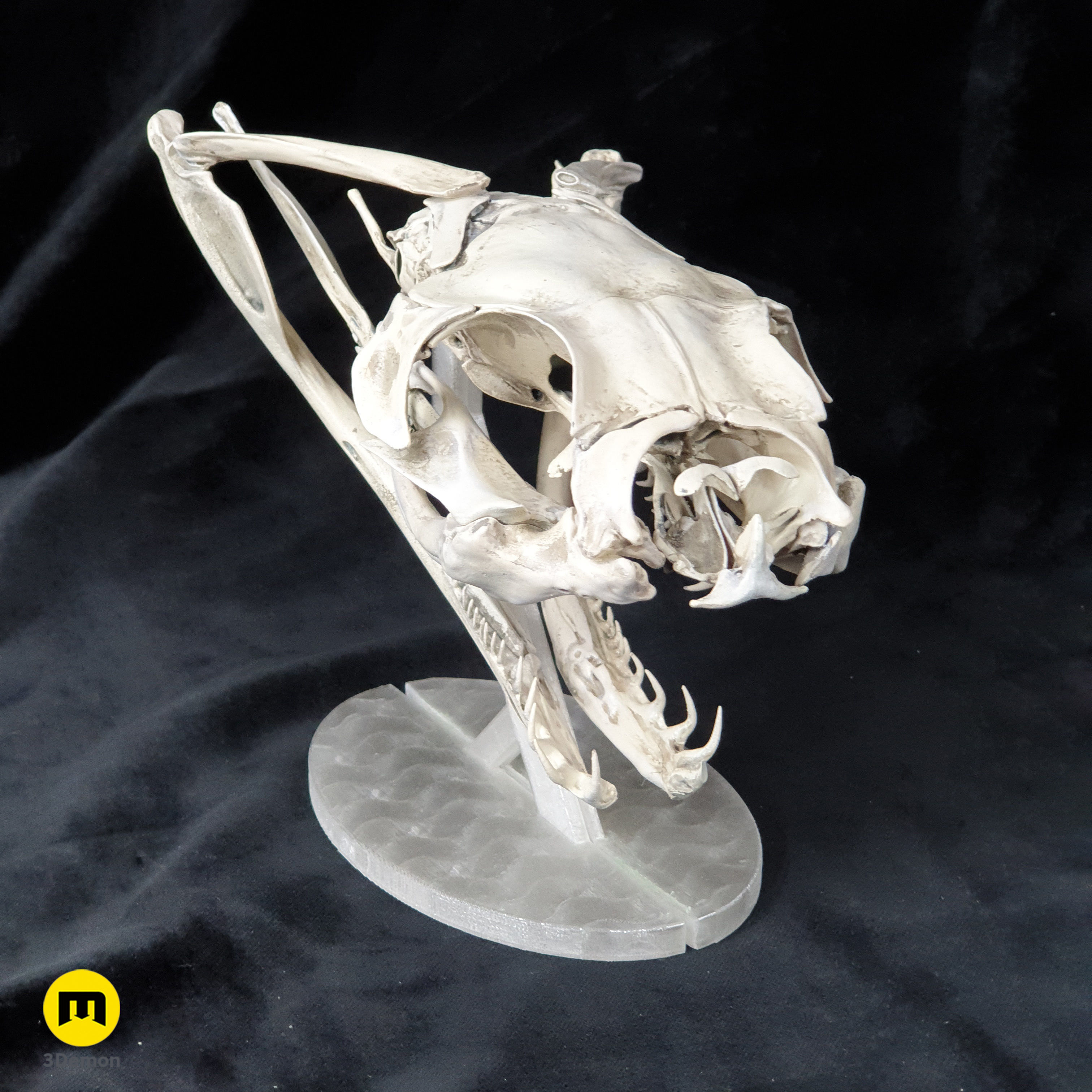 Gaboon Viper Snake Skull Free 3D print model_3