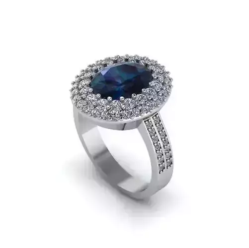 Ring Model 2313