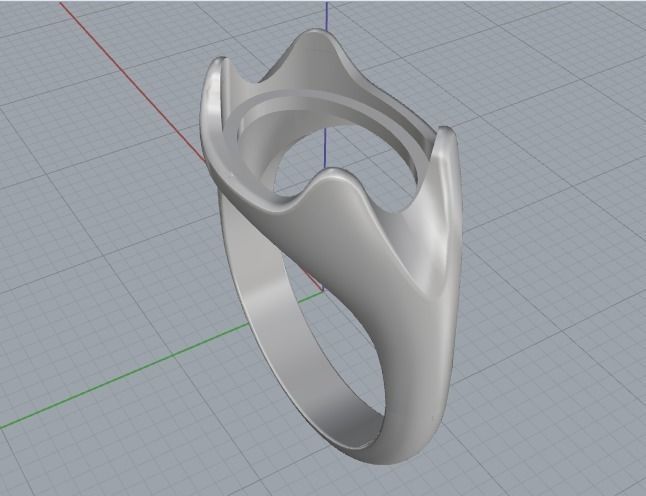 Ring Model 2284 3D print model_2