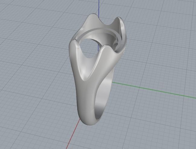 Ring Model 2284 3D print model_5