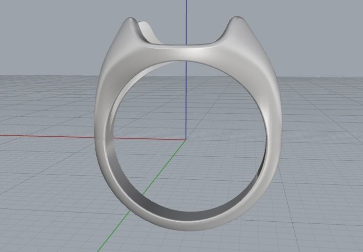 Ring Model 2284 3D print model_3