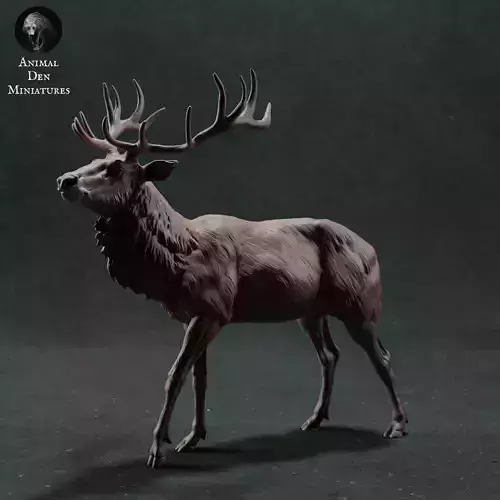 Red Deer Stag 3D print model