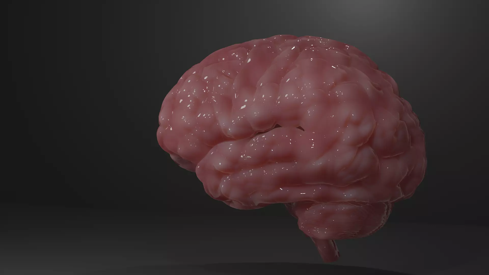 brain human Low-poly 3D model_0